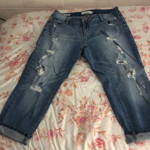 Torrid jeans